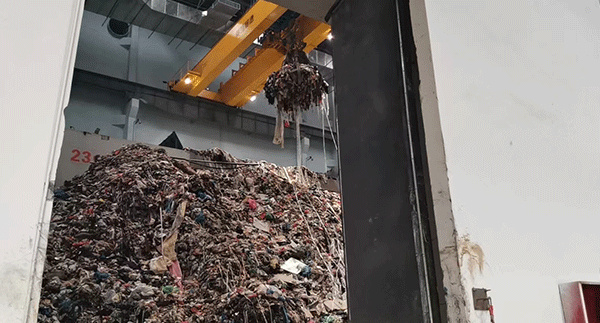 ����̎������(w��)